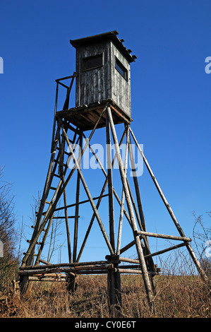 Deerstand sur un champ, Dorfhaus, Haute-Franconie, Bavière Banque D'Images