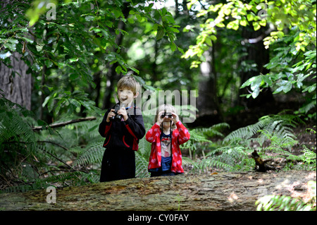 Jeune garçon et fille (frère et soeur) L'observation des oiseaux dans les bois en été publié le modèle de Norfolk Banque D'Images