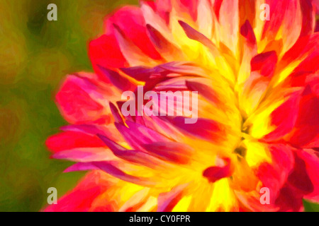 Détail d'une fleur dahlia hybride dans le jardin d'été. Profondeur de champ. Banque D'Images