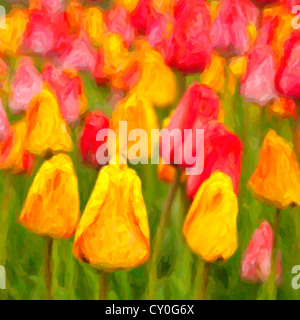 Magnifiques tulipes dans le jardin de printemps. Banque D'Images