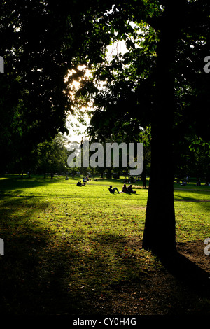 Soir d'été soleil sur Clapham Common, Northside Clapham, Londres, UK Banque D'Images