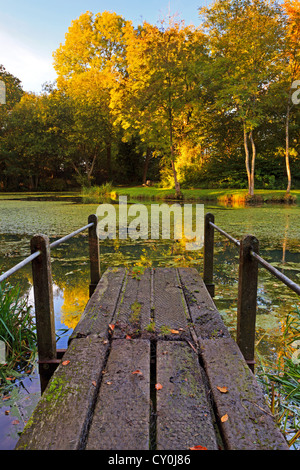 Photo d'une petite jetée en bois sur le gonflement Hill Pond dans le Hampshire en Angleterre Banque D'Images