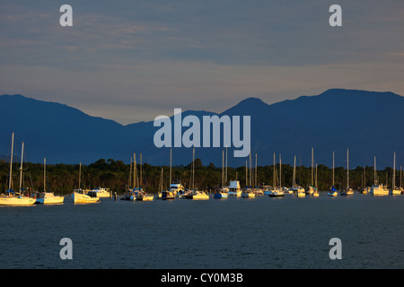 De nombreux voiliers amarrés au port de plaisance côtière à Cairns dans le Queensland en Australie a mis en relief par Sunrise Banque D'Images