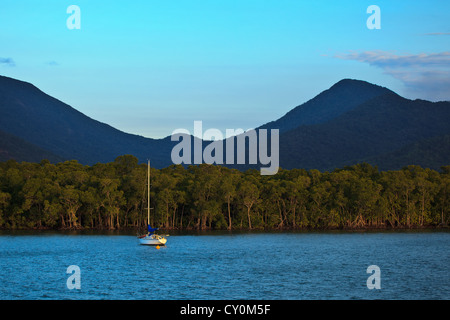 Un voilier amarré dans le port de cairns avec les mangroves et les forêts tropicales de montagne en arrière-plan au lever du soleil Banque D'Images