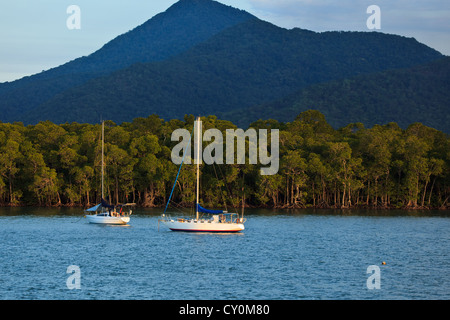 Deux voiliers amarrés dans le port de cairns avec les mangroves et les forêts tropicales de montagne en arrière-plan au lever du soleil Banque D'Images