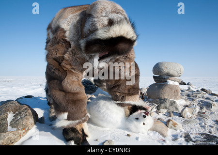 Les Inuits sont la chasse sur l'northpole Banque D'Images