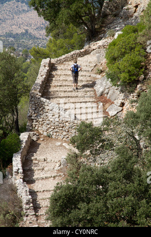 Randonneur sur étapes trail à Castillo de Alaró' château, Puig de Alaró" de montagne, colline, Mallorca Majorque Espagne Europe Banque D'Images