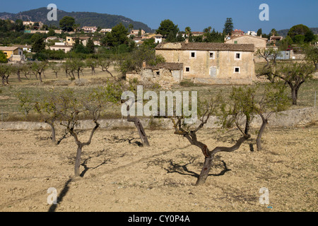 Ancienne maison typique de Majorque campagne Mallorca Majorque Îles Baléares Espagne Banque D'Images