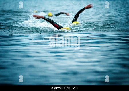 Les athlètes à la suite de chaque d'autres dans l'eau à Norseman Xtreme Triathlon 2012 Banque D'Images