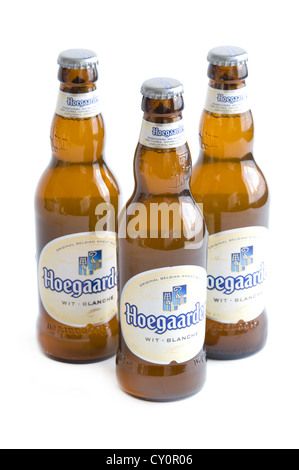 Hoegaarden bière en bouteilles isolé sur fond blanc Banque D'Images