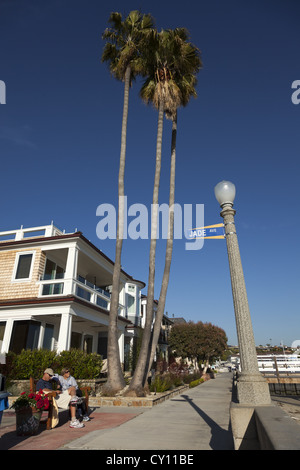 Palmiers. Couple relaxing. L'Île de Balboa, le port de Newport, dans le sud de la Californie, USA Banque D'Images