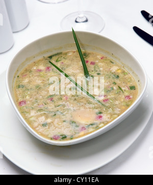 Soupe de légumes froide russe sur le yogourt (acide-base) de lait - okroshka Banque D'Images