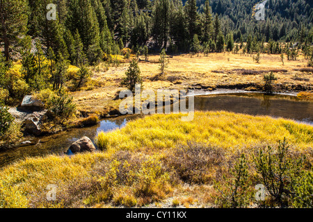 Lee Vining Creek juste en dessous Ellery Lake le long de l'autoroute 120 en Californie le Tioga pass in Yosemite National Park à l'automne 2012 Banque D'Images