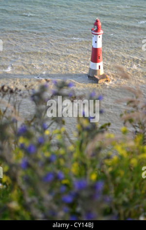 Vue sur les falaises de Beachy Head phare près de Eastbourne, East Sussex, Angleterre. Banque D'Images