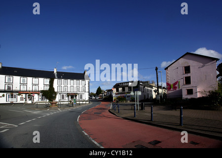 Llanwrtyd Wells (Gallois : Llanwrtyd) est une petite ville située dans la paroisse de Llanwrtyd dans Powys, Pays de Galles, situé sur la rivière Irfon. Banque D'Images