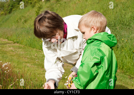 Grand-mère avec son petit-fils (3-4) la cueillette des fleurs, la France. Banque D'Images