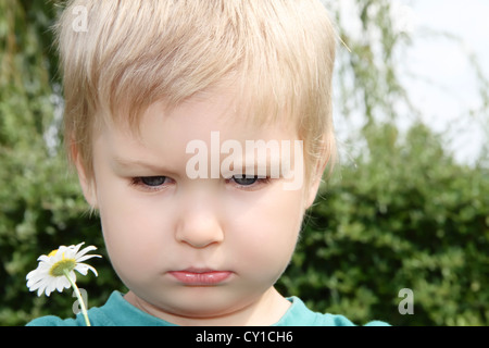 Boy (2-3) holding daisy, France. Banque D'Images