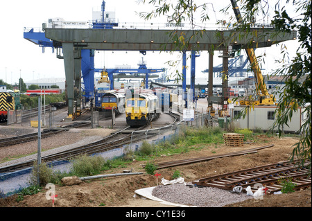 Rail nord-terminal de fret avec de nouvelles pistes pour un troisième terminal, port de Felixstowe, Suffolk, UK. Banque D'Images