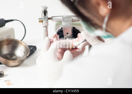 Technicien dentaire articulateur en collaboration avec le laboratoire dentaire Banque D'Images