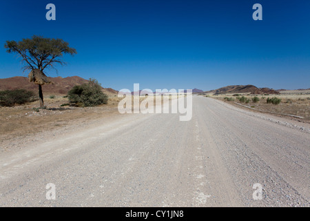 Route principale dans le sud de la Namibie. Banque D'Images