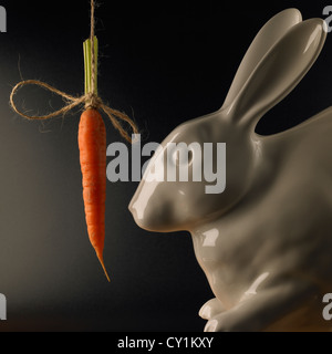 Vitrage chine lapin blanc face à la carotte à hanging sur fond sombre Banque D'Images