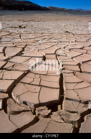 Le sol sèche et crevassée, la sécheresse. Désert d'Atacama, au Chili, en Amérique du Sud. Banque D'Images