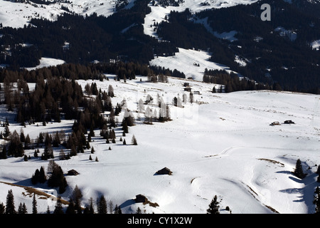 Champ de neige près de Wolkenstein Selva Val Gardena Dolomites Italie Banque D'Images