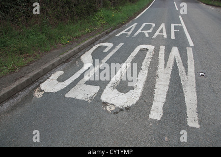 Panneau de circulation sur chemin de campagne en gallois et en anglais, Wrexham, dans le Nord du Pays de Galles, Royaume-Uni. Banque D'Images