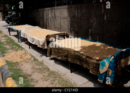 Le riz est disposé sur des lits pour sécher le long d'une rue de New Delhi, la capitale de l'Inde. Banque D'Images