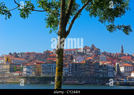 Porto, 'porto', quartier de Ribeira, classé au Patrimoine Mondial de l'UNESCO, le Portugal, l'Europe Banque D'Images