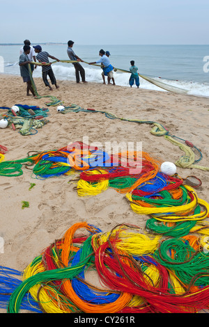 Les pêcheurs tirant sur le net. D'Arugam Bay. Sri Lanka Banque D'Images