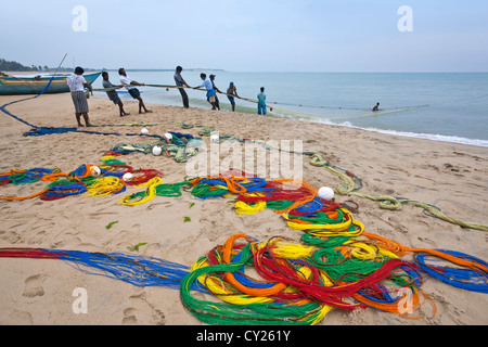 Les pêcheurs tirant sur le net. D'Arugam Bay. Sri Lanka Banque D'Images