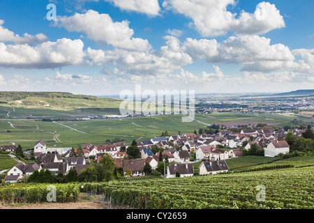 La vigne et du paysage dans la région de Champagne près de Reims, Epernay, Champagne, France Banque D'Images