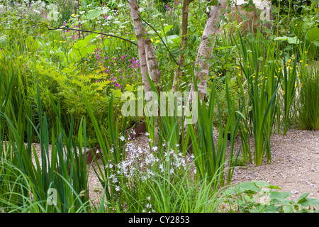 Daily Telegraph Jardin à Chelsea Flower Show 2012. Designer : Sarah : Banque D'Images