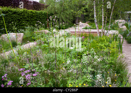 Combinaison de plantes dans le jardin contemporain. Le Telegraph Jardin. Design : Sarah : Banque D'Images