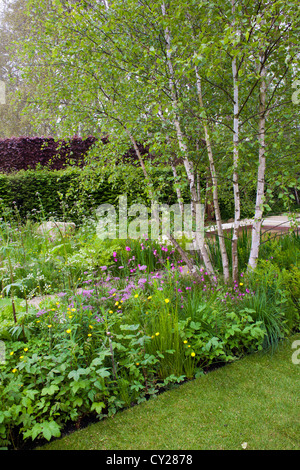 Combinaison de plantes dans le jardin contemporain. Le Telegraph Jardin. Design : Sarah : Banque D'Images