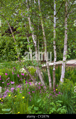 Combinaison de plantes dans le jardin contemporain. Le Telegraph Jardin. Design : Sarah : Banque D'Images