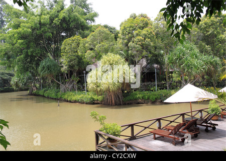 Terrasse et guest chalets à Sepilok Nature Resort, Sandakan district, Sabah, Bornéo, Malaisie, en Asie du sud-est Banque D'Images