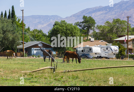 Lone Pine, petite ville du nord sur la Route 395 entre Los Angles et Tahoe. Visiter centre de Sierras et Mount Whitney Banque D'Images