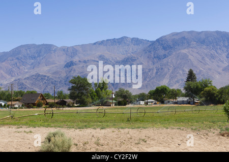 Lone Pine, petite ville du nord sur la Route 395 entre Los Angles et Tahoe. L'irrigation sur les petites propriétés. Banque D'Images