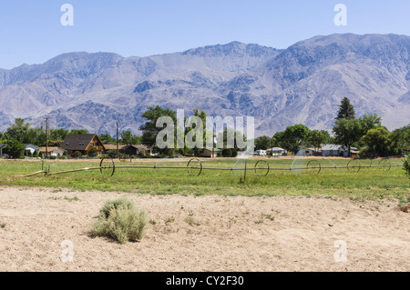 Lone Pine, petite ville du nord sur la Route 395 entre Los Angles et Tahoe. L'irrigation sur les petites propriétés. Banque D'Images