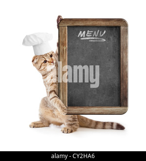 Funny chaton dans cook hat holding blackboard menu Banque D'Images