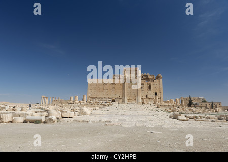 Les ruines antiques de Palmyre, Syrie Banque D'Images