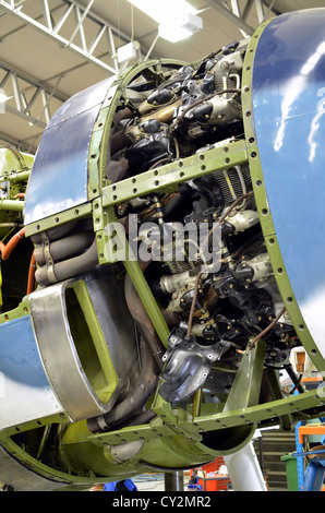 Pratt & Whitney R-2800-10RW Double Wasp moteur radial dans Grumman F6F Hellcat-5K en cours de maintenance à Duxford Banque D'Images