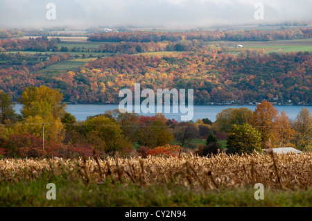 Scène d'automne dans la région de Finger Lakes, New York State, USA. Banque D'Images