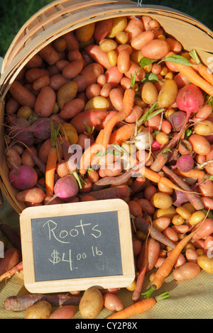 Massachusetts,Nord-est,Nouvelle-Angleterre,Plymouth,Plimoth Plantation,marché des agriculteurs,vendeur de vendeurs,stall stalles stand marchands marché Banque D'Images