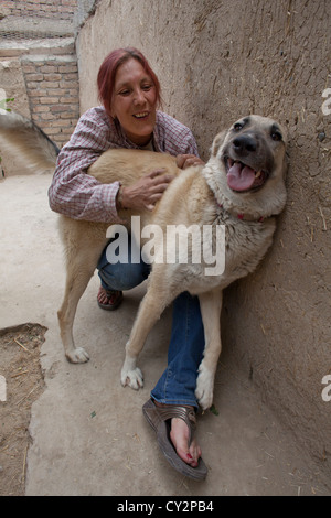 Nowzad est un chenil pour les chiens de rue à Kaboul, dirigé par Louise haslie Banque D'Images