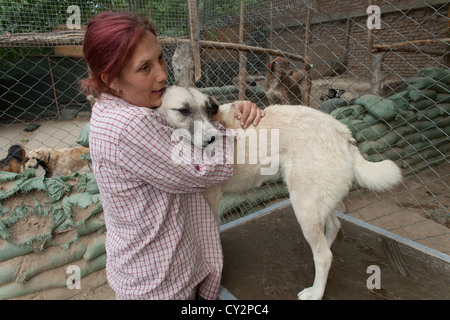 Nowzad est un chenil pour les chiens de rue à Kaboul, dirigé par Louise haslie Banque D'Images