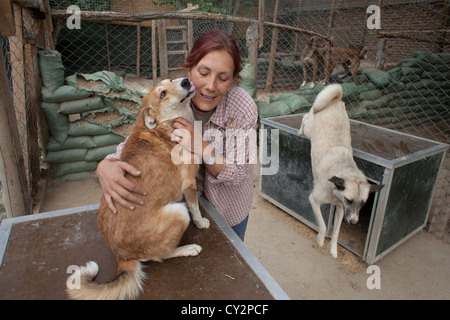 Nowzad est un chenil pour les chiens de rue à Kaboul, dirigé par Louise haslie Banque D'Images