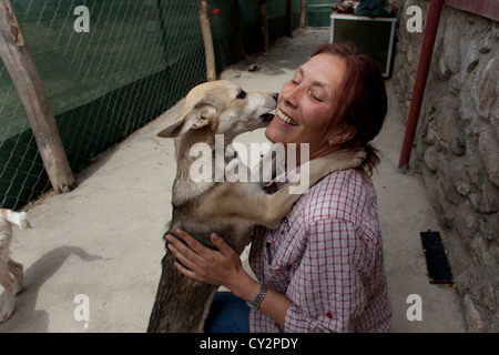 Nowzad est un chenil pour les chiens de rue à Kaboul, dirigé par Louise haslie Banque D'Images